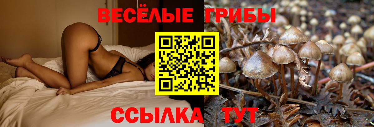 Псилоцибиновые грибы Magic Shrooms Балабаново